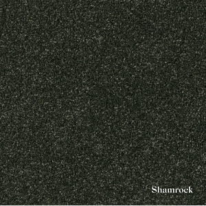Textured black surface with 'Shamrock' label
