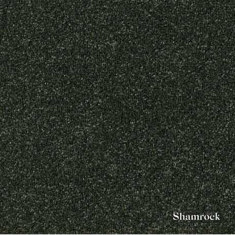 Textured black surface with 'Shamrock' label