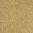 Close-up of beige carpet texture with 'Lion' brand name.