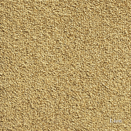 Close-up of beige carpet texture with 'Lion' brand name.