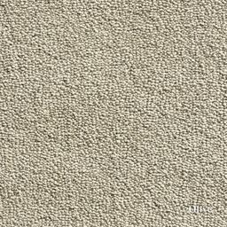 Close-up of a textured beige carpet sample