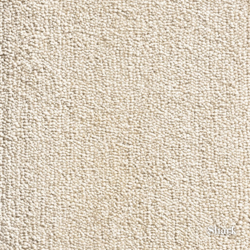 Close-up of beige carpet texture