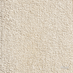 Close-up of beige carpet texture