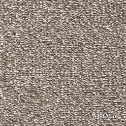 Close-up of textured brown carpet with 'Wild Mink' label