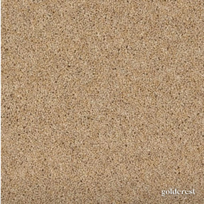 Woodland Heathers Twist Carpet in natural wool blend shades, offering a dense twist pile, durability and easy bleach-clean maintenance for busy homes.