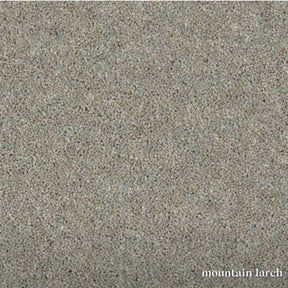 Woodland Heathers Twist Carpet in natural wool blend shades, offering a dense twist pile, durability and easy bleach-clean maintenance for busy homes.
