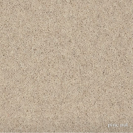 Woodland Heathers Twist Carpet in natural wool blend shades, offering a dense twist pile, durability and easy bleach-clean maintenance for busy homes.
