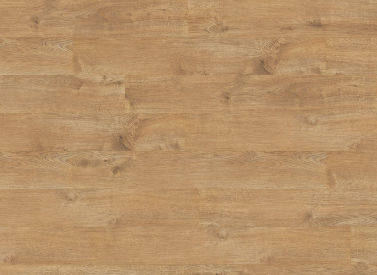 The Sherwood Oak Laminate Flooring - 12mm features wood-like look, antibacterial, AC4 wear rating, underfloor heating compatible, 20-year guarantee, easy Click2go installation.