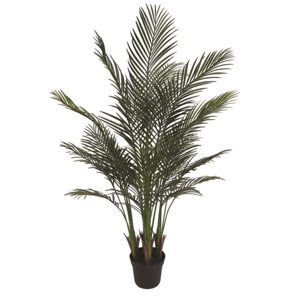 Areca Palm Tree 147cm